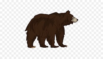 Grizzly bear Portable Network Graphics Image Chroma key Desktop Wallpaper - grizzle vector 