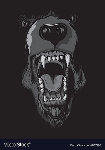  					Grizzly bear t-shirt design vector image														