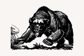 Grizzly collage element, drawing illustration | Free Vector Illustration - rawpixel