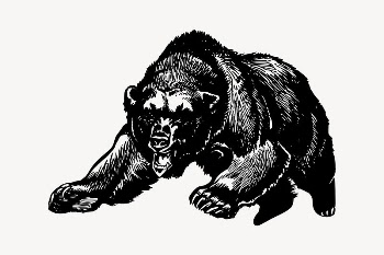 Grizzly collage element, drawing illustration | Free Vector Illustration - rawpixel