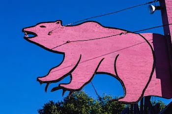 Grizzly Fireworks sign, Russell Street,… | Free public domain photo