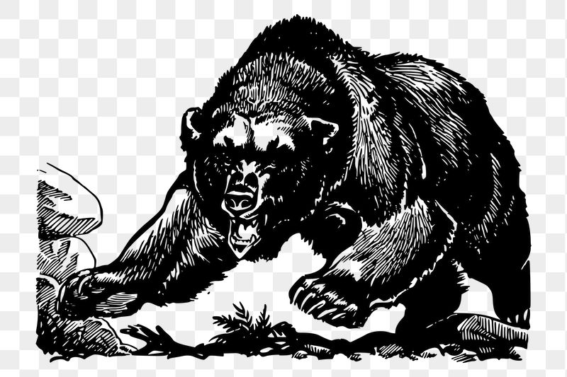 Grizzly png sticker illustration, transparent | Free PNG - rawpixel