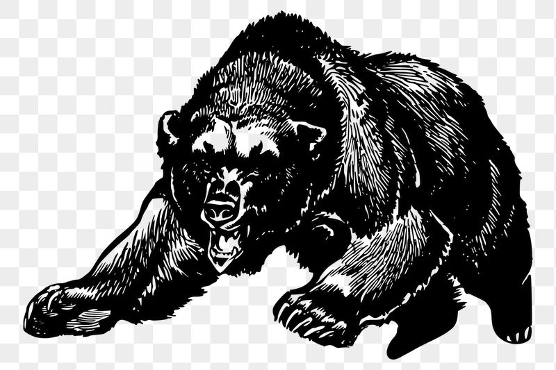 Grizzly png sticker illustration, transparent | Free PNG - rawpixel