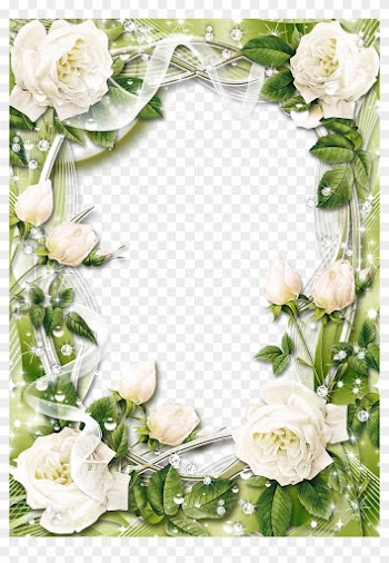 Groen Transparant Png Fotolijst Met Witte Rozen - Free White Rose Border