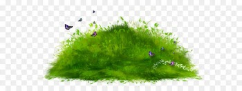 Ground Computer file - Grass Path Ground PNG Clipart 