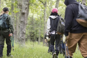 Groundwork RVA's Green Team. Free | Free Photo - rawpixel