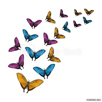 group of beautiful butterflies flying