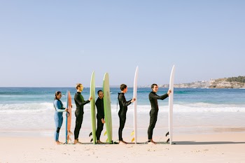 Group Of Five People Standing in Line While Holding Surfboards Near Seashore