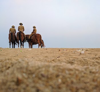 Group of Horsemen on Desert