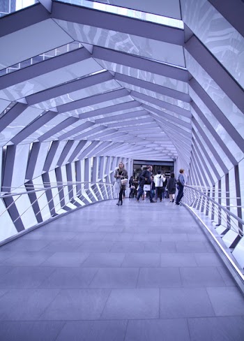 Group of People