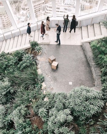 Group of People At The Stairs