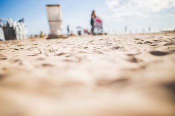 Group of People Cleaning the Seashore Low Angle Photography