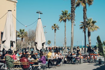 Group of People Eating Outdoors