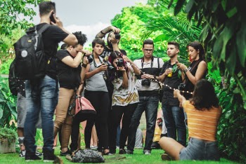 Group Of People Near Trees