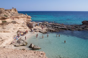 Group of People on Beach Shore