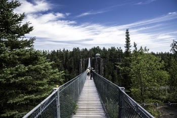 Group of People on Hanging Bridge