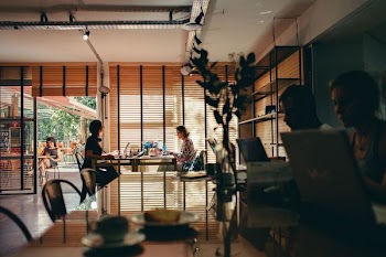 group of people sitting while using laptop computer