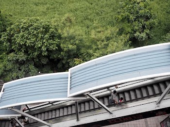 group of people standing on gray escalator surrounded by green leafed trees during daytime