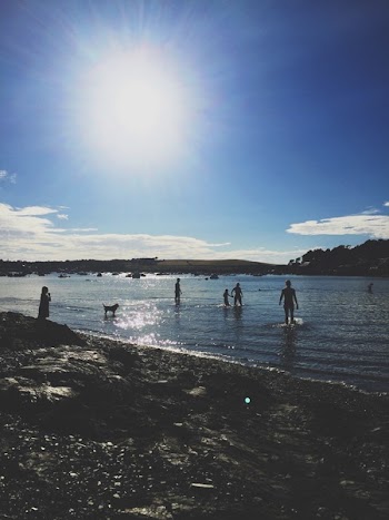 Group of People Standing on Shores