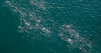 Group of People Swimming on Beach