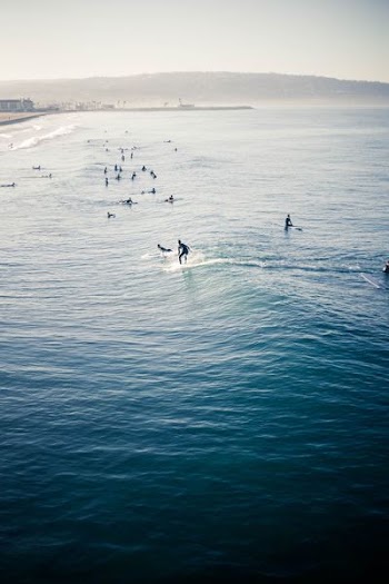 group of people swimming on beach during day time