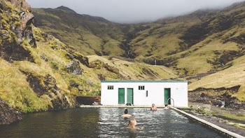 group of people swimming on the pool