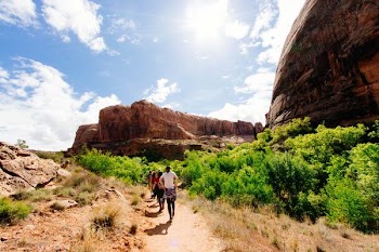 group of people walking near canyon