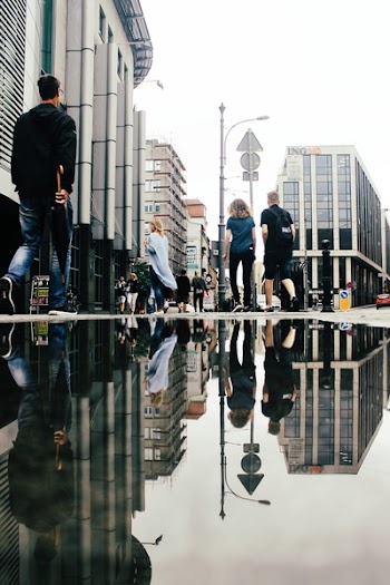 Group of People Walking on Concrete Floor With Poodle Showing Their Reflection