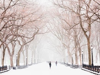 group of people walking on snow