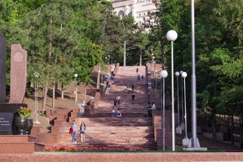 Group of People Walking on Street Surrounded by Trees