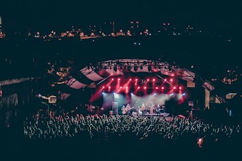 group of people watching concert