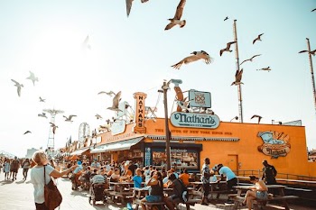 group of people watching flying birds outdoors