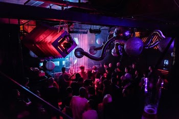 group of person in disco