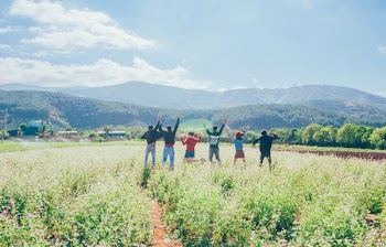 Group of Six People Standing on Green Grass Field