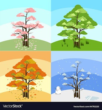 group of trees with four season trees in one