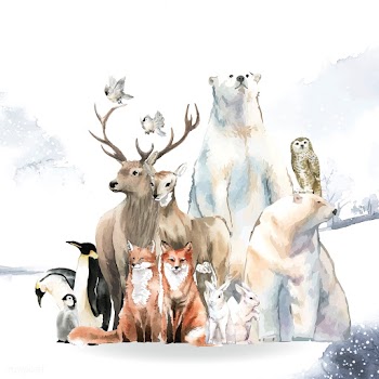 Group of wild animals in the snow drawn in wa.. | Free stock vector - 489551