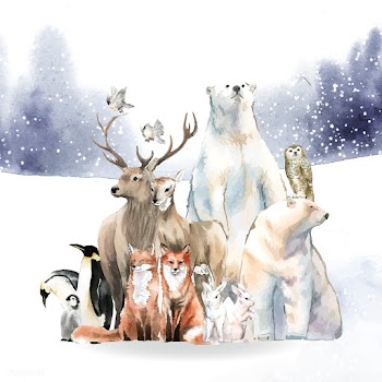 Group of wild animals in the snow drawn in wa.. | Free stock vector - 489558