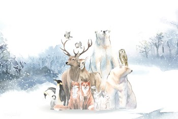 Group of wild animals in the snow drawn in wa.. | Free stock vector - 489596