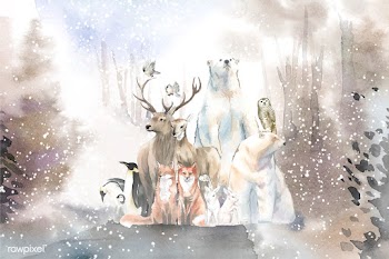 Group of wild animals in the snow drawn in wa.. | Free stock vector - 489613