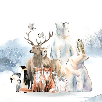 Group of wild animals in the snow drawn in wa.. | Free stock vector - 489632