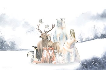 Group of wild animals in the snow drawn in wa.. | Free stock vector - 489645
