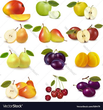  					Group with different fruits vector&nbsp;image														