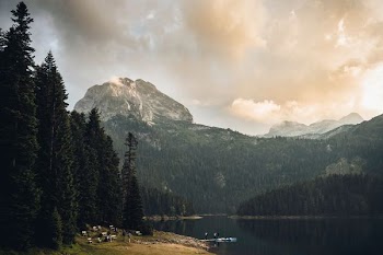 grouped of people camping near body of water surrounded by trees and alpine mointain
