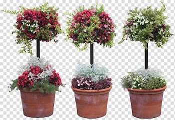 Grow light Plant Garden Full-spectrum light, light transparent background PNG clipart