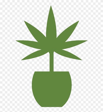 Grow More Medical Marijuana - Hemp