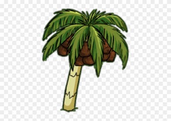 Growing Fruits On Palm Trees - Animated Photos Of A Trees