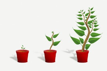Growing potted plant clipart, collage | Free PSD - rawpixel