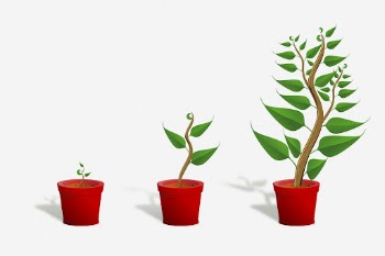 Growing potted plant clipart illustration. | Free Photo - rawpixel