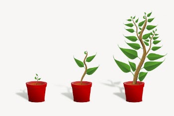 Growing potted plant clipart, illustration | Free Vector - rawpixel