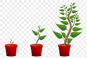 Growing potted plant png sticker | Free PNG - rawpixel